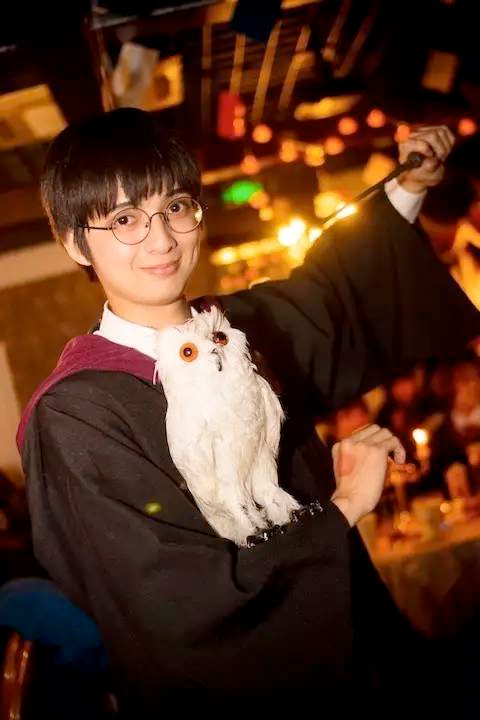 图片说明（不显示）